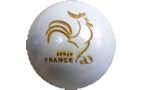 Championnat Départemental Triplettes Jeu Provençal 2018 les 31 mars et 01 avril à GAP Championnat Départemental Triplettes Jeu Provençal 2018 les 31 mars et 01 avril à GAP