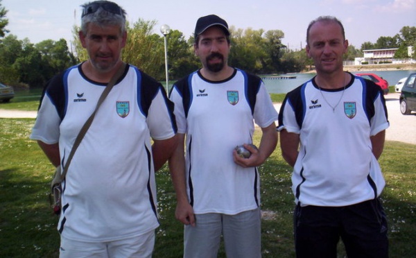 Championnats de Ligue 2011